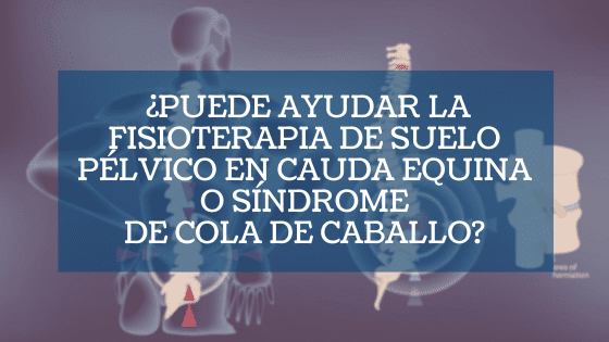 ¿Puede ayudar la fisioterapia de suelo pélvico en cauda equina o síndrome de cola de caballo?