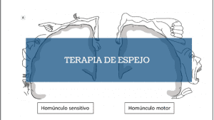 Imagen destacada terapia de espejo