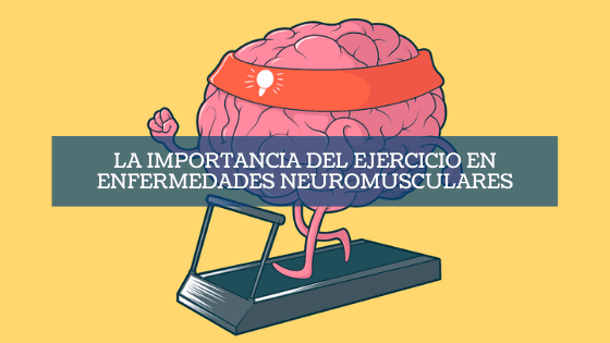 La importancia del ejercicio en enfermedades neuromusculares