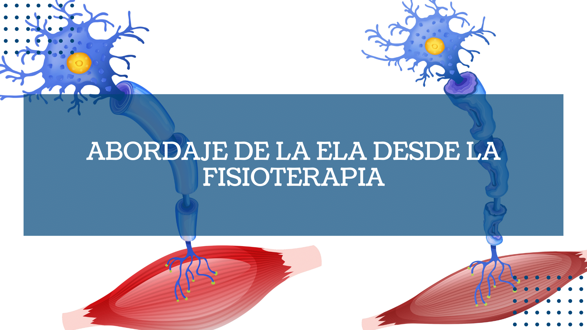 Abordaje de la ELA desde la fisioterapia