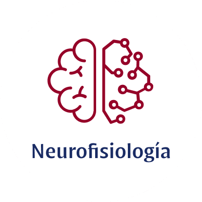 icono neurofisiologia